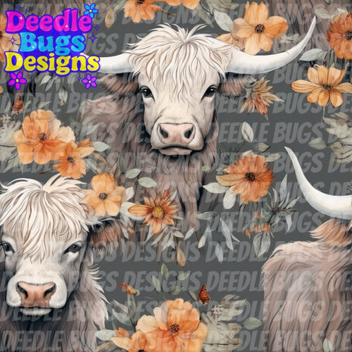 Highland Cows