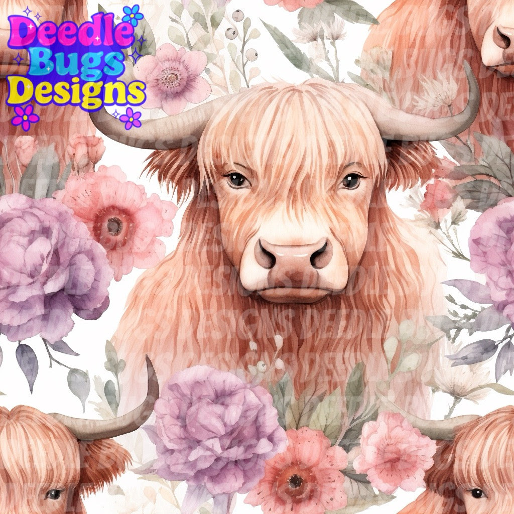 Highland Cows
